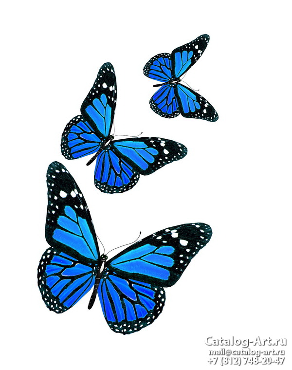  Butterflies 66